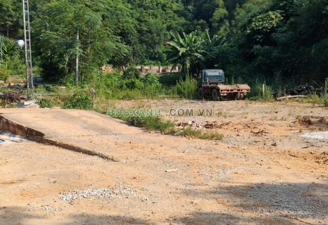 Cho thuê đất xưởng băm gỗ khoảng 4.000 m² tại Quốc lộ 2C, Ngọc Hội, Chiêm Hóa, Tuyên Quang