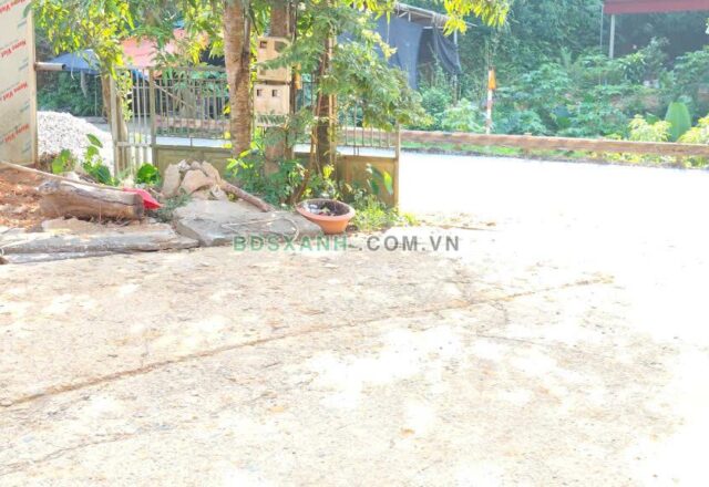 Cho thuê đất xưởng băm gỗ khoảng 4.000 m² tại Quốc lộ 2C, Ngọc Hội, Chiêm Hóa, Tuyên Quang - ảnh 3