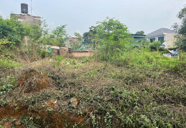 🏡 Bán đất thổ cư 100% tại thôn 1 Kim Phú, Tuyên Quang – 115 m², giá 1,5 tỷ