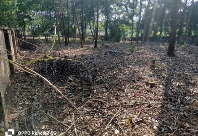 Cho thuê mặt bằng 3.000 m² mặt đường Điện Biên Phủ, An Tường, Tuyên Quang