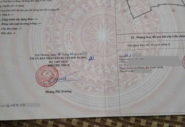 Bán hơn 4.000 m² đất mặt đường tránh Sơn Dương đi Tân Trào – mặt tiền 80 m, giá 8 tỷ - ảnh 2