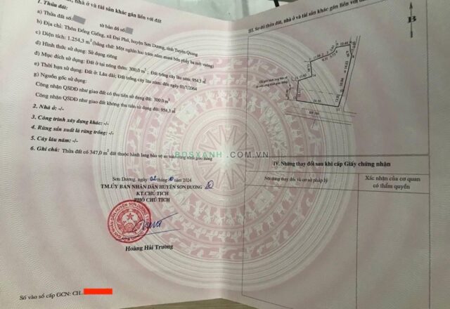 Bán nhà đất 1.254,3 m² tại Đại Phú, Sơn Dương, Tuyên Quang – Mặt tiền 35 m, có 2 nhà 2 tầng - ảnh 3