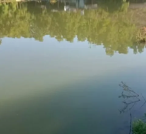 Bán trang trại gần 7.000 m² hồ nước và 4 ha đồi trồng keo tại Sơn Dương, Tuyên Quang – giá 4,5 tỷ - ảnh 2