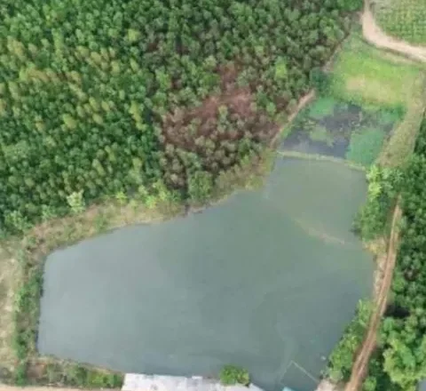 Bán trang trại gần 7.000 m² hồ nước và 4 ha đồi trồng keo tại Sơn Dương, Tuyên Quang – giá 4,5 tỷ