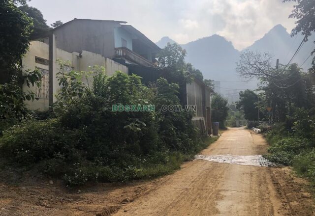 Bán đất gần 600 m² tại Tràng Đà, Tuyên Quang – 150 m² thổ cư, giá 1,1 tỷ - ảnh 3