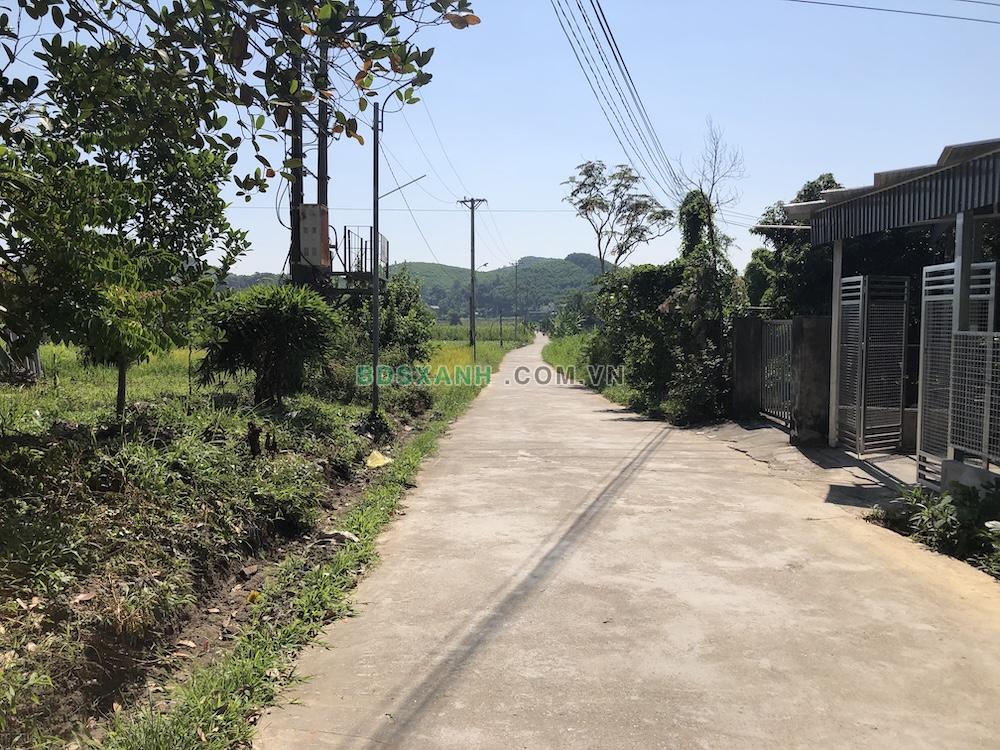 Bán đất thôn 2 Trung Môn, Tuyên Quang – 230 m², có 100 m² thổ cư, không gian sống xanh
