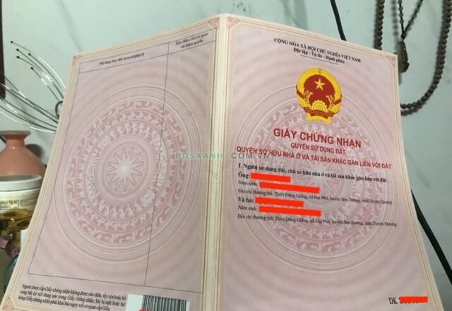 Bán nhà đất 1.254,3 m² tại Đại Phú, Sơn Dương, Tuyên Quang – Mặt tiền 35 m, có 2 nhà 2 tầng - ảnh 4