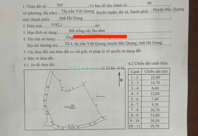 Bán 9.582 m² đất trồng cây lâu năm tại Tân Thành, Việt Quang, Bắc Quang – Đường ô tô rộng 7 m - ảnh 3