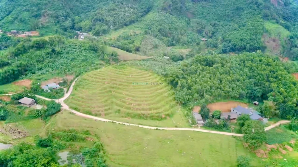 Bán 9.582 m² đất trồng cây lâu năm tại Tân Thành, Việt Quang, Bắc Quang – Đường ô tô rộng 7 m